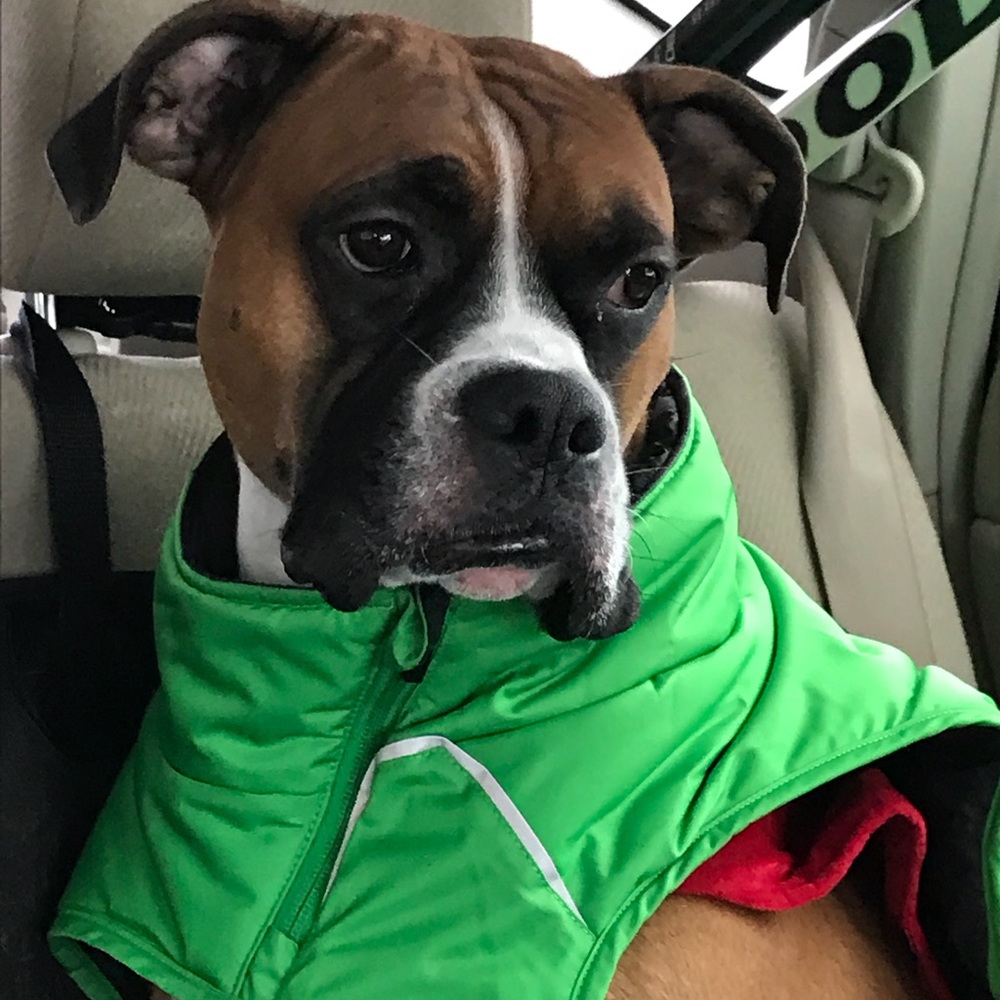 Meet your Posher, Carolyn